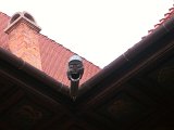 DSCN0128