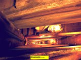 DSCN0321