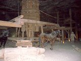 DSCN0343