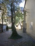 DSCN0420