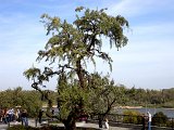 DSCN0582