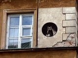 DSCN0614