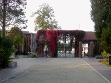 DSCN0633