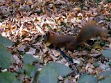 DSCN0781