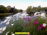 DSCN0794