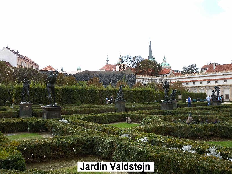 DSCN6408.JPG