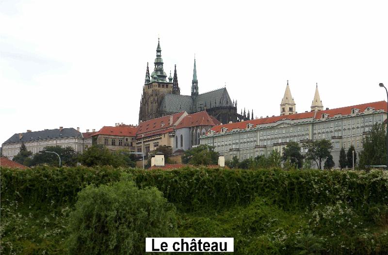 DSCN6425.JPG