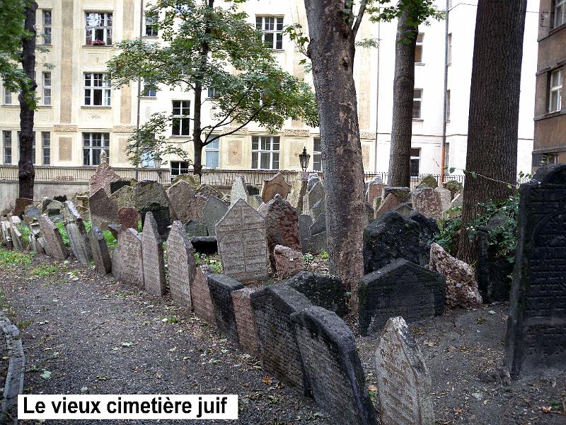 DSCN6492.JPG