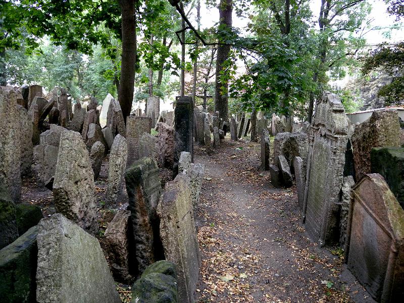 DSCN6497.JPG