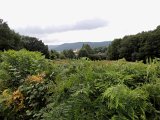 DSCN2879