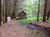 DSCN3008
