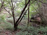 DSCN3009