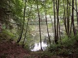 DSCN3011