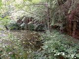 DSCN3012