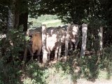 DSCN2962