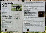 DSCN4887