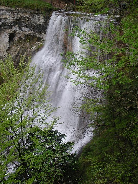 DSCN6229.JPG
