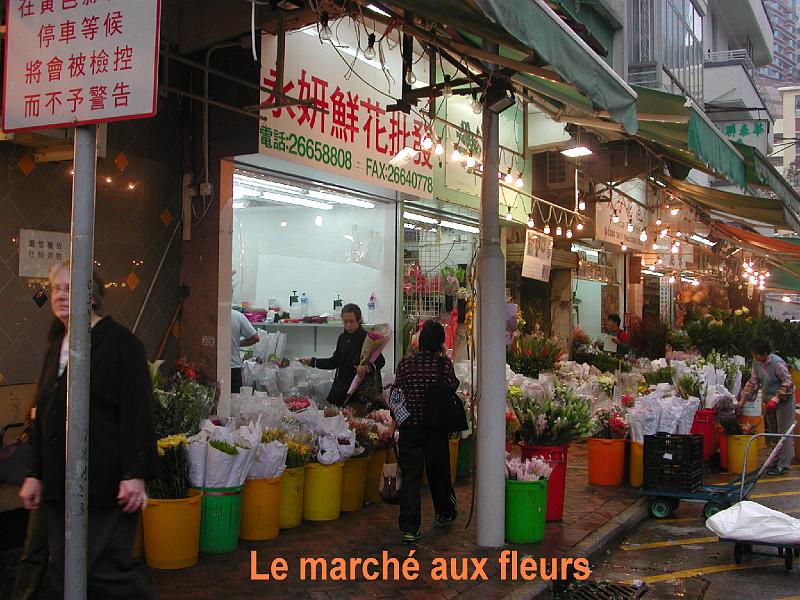 DSCN5298.JPG