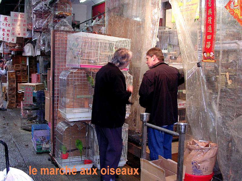 DSCN5301.JPG
