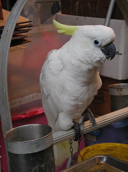 DSCN5303.JPG