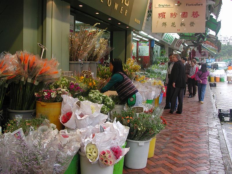 DSCN5308.JPG