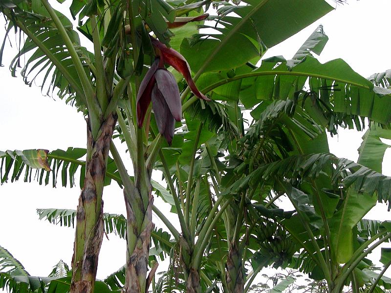 DSCN5437.JPG
