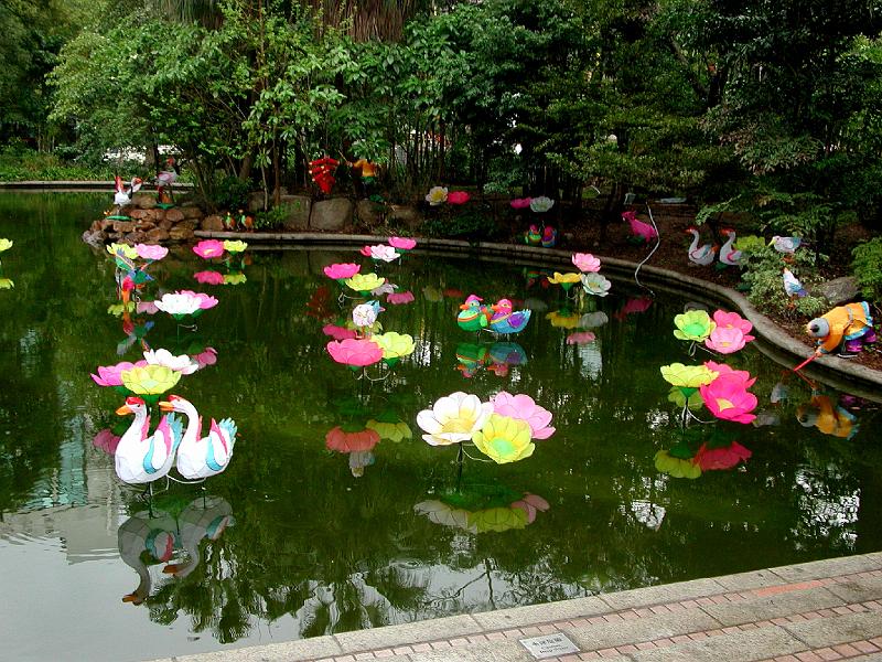 DSCN5450.JPG