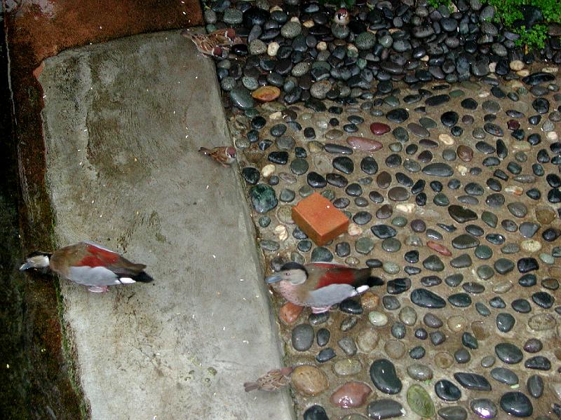 DSCN5452.JPG