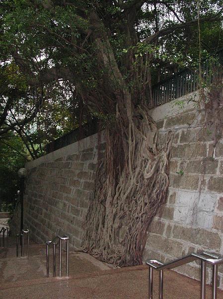 DSCN5458.JPG