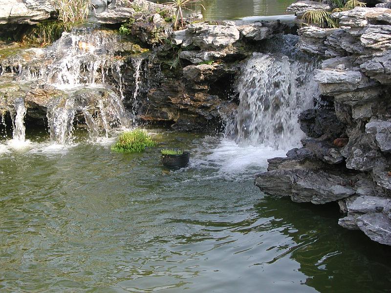DSCN5680.JPG