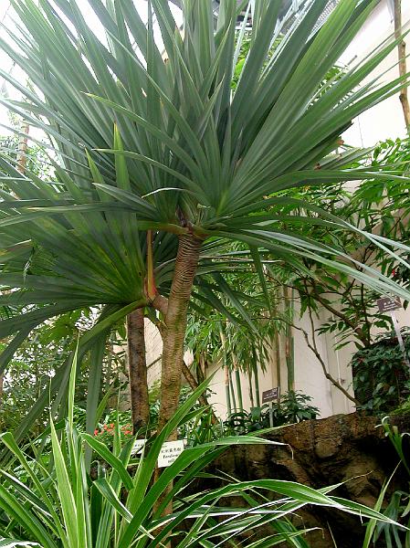 DSCN5688.JPG