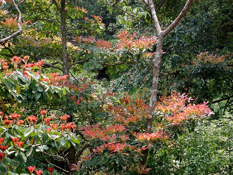 DSCN5775.JPG