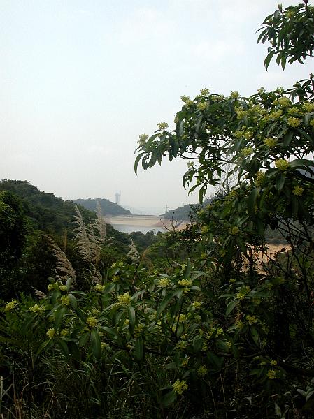 DSCN5777.JPG