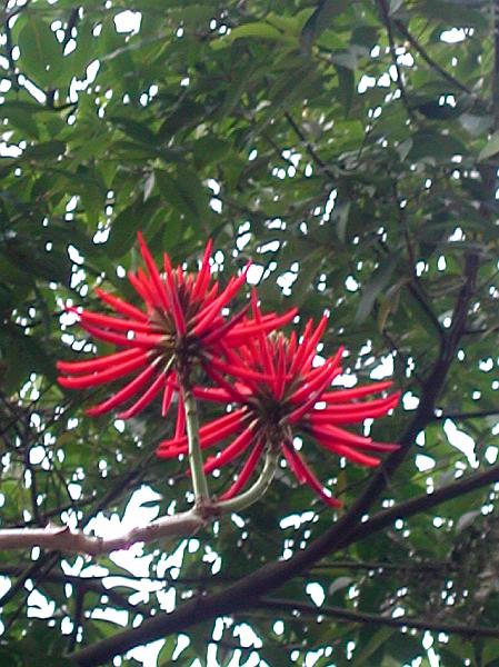 DSCN5779.JPG