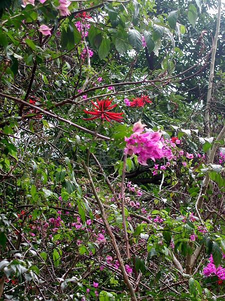 DSCN5788.JPG