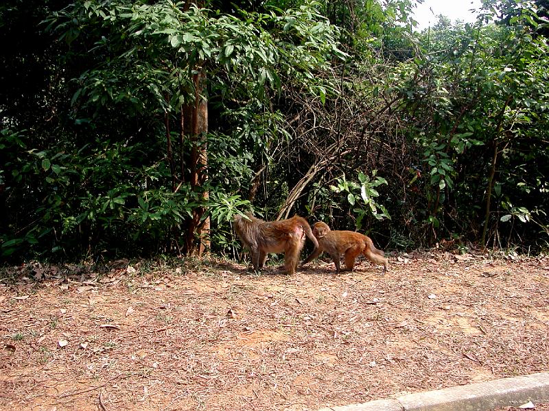 DSCN5791.JPG
