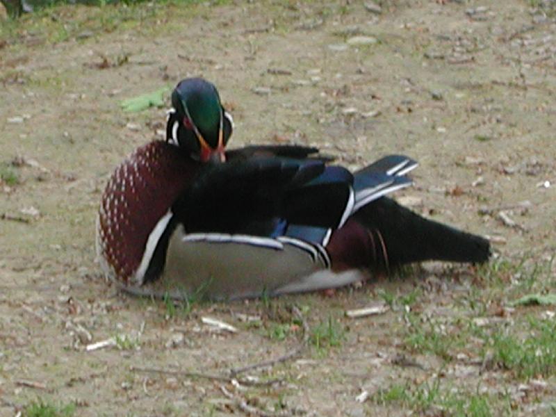 DSCN19.JPG