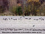 DSCN5689