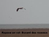 DSCN5692