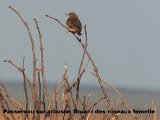 DSCN5695