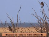DSCN5699