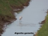DSCN5714