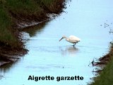 DSCN5715