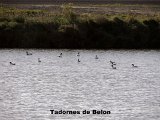 DSCN5741