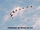 DSCN5745