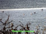 DSCN5757