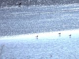 DSCN5764