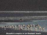 DSCN5780