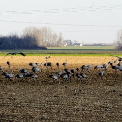 DSCN1362