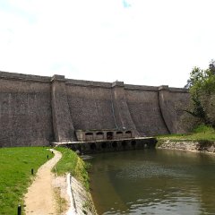 DSCN0948
